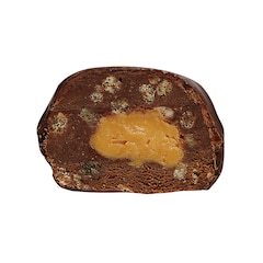 Image 2 for Dipped Chocolate Hazelnut Praline Plant Protein Ball 40g