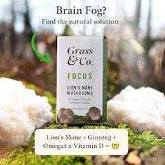 Image 3 for FOCUS Lion's Mane Mushrooms with Ginseng + Omega-3 60 Vegan Capsules