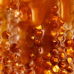 Image 4 for Morning Ritual Multifloral 100+ MGO Manuka Honey 250g